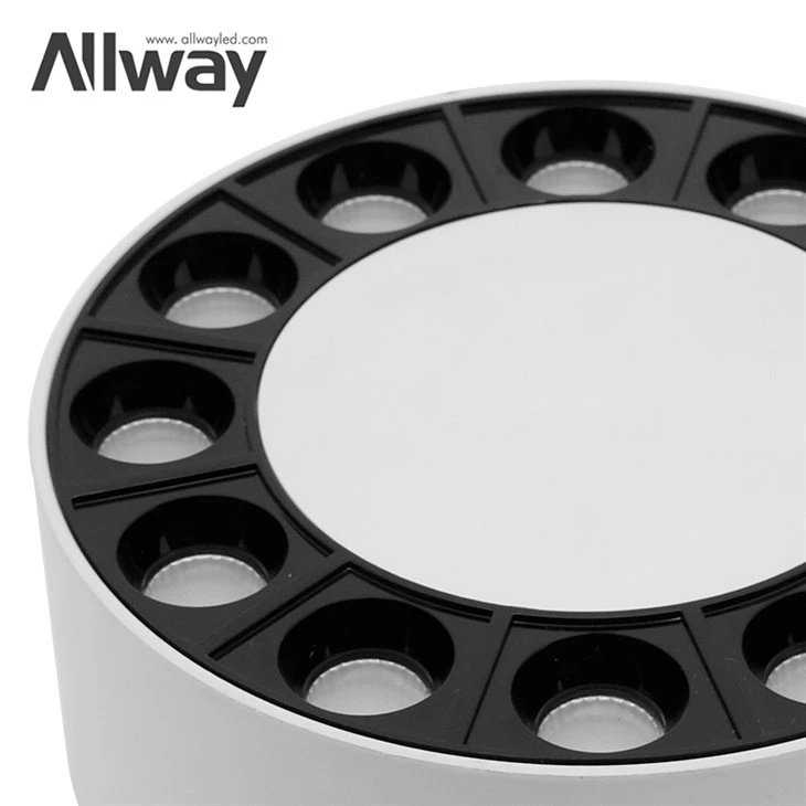 indoor ceiling mount light fixture